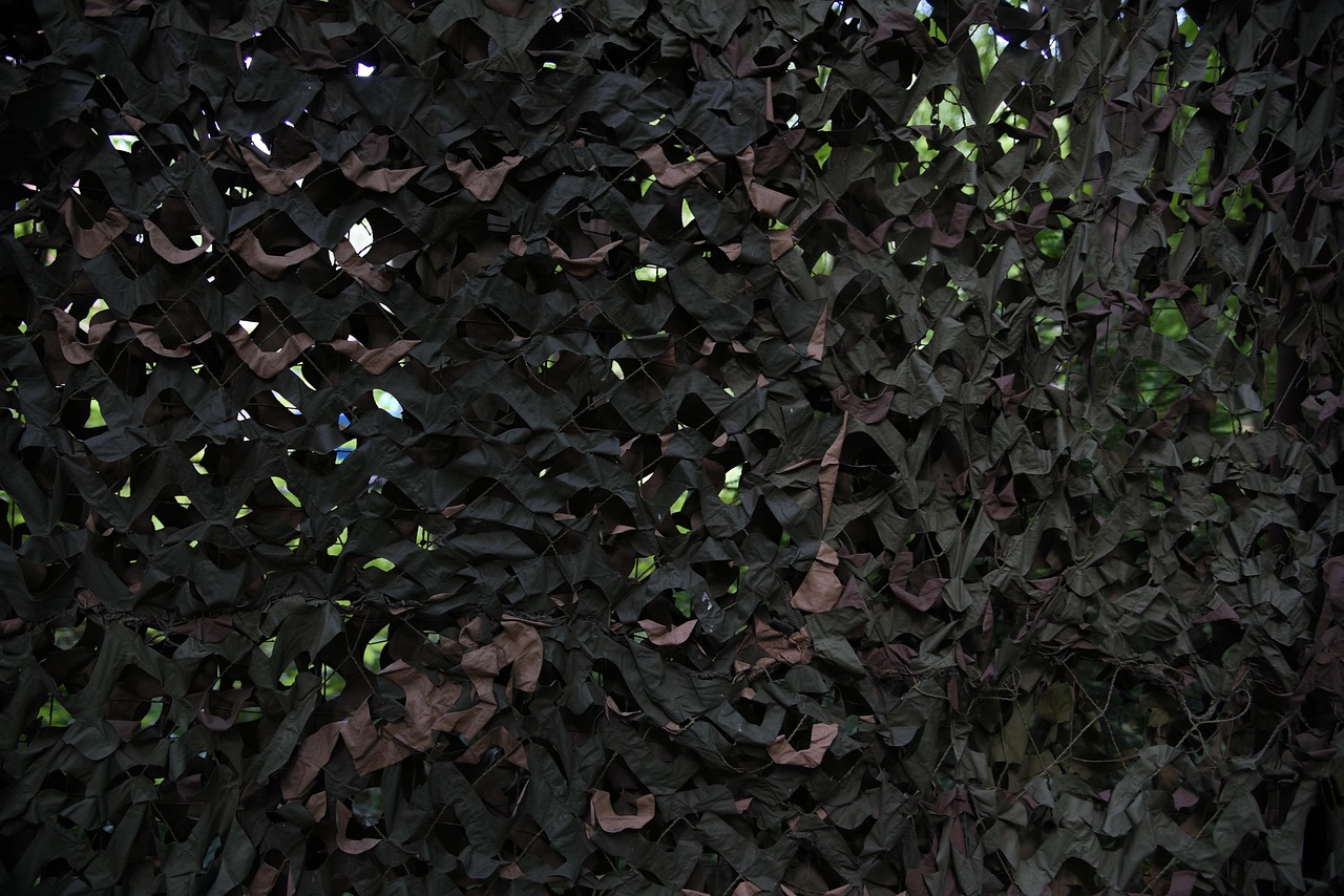 支付宝小号买卖：向日家园app详情下载教程