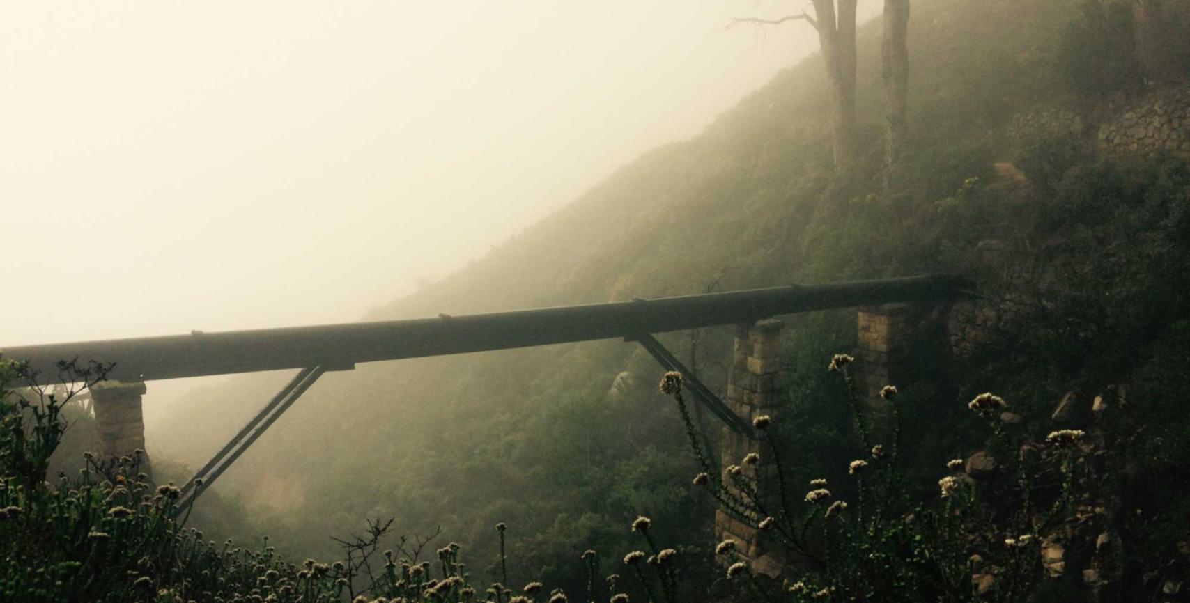 倾城娱乐，注册|详情下载教程读书郎手表app