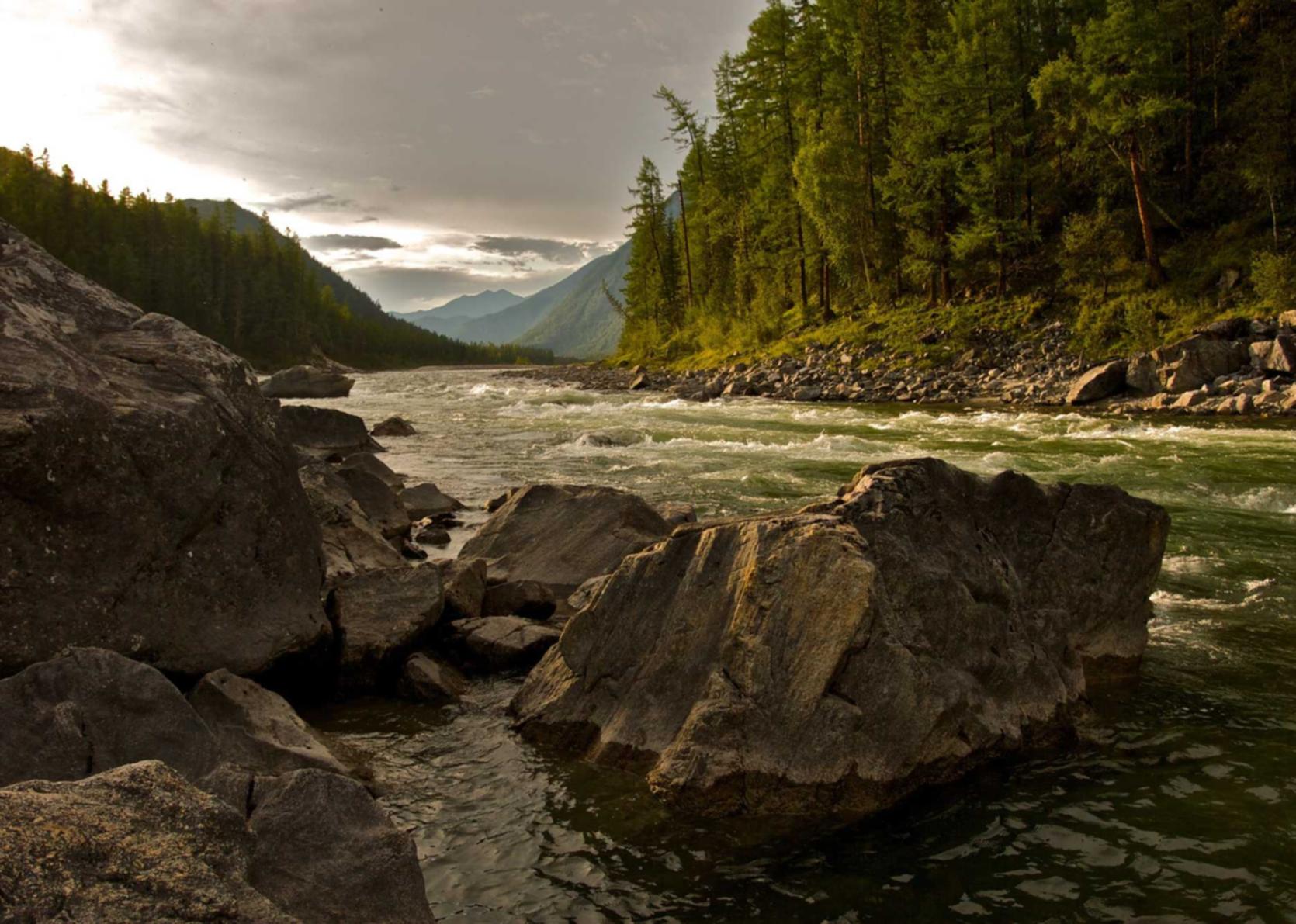 详情下载教程app苹果密码忘记