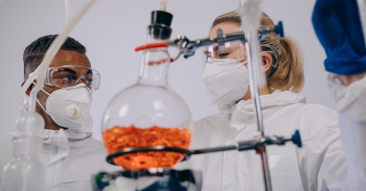 中免555柠檬双爆珠：红桥区正规的公司注册代理