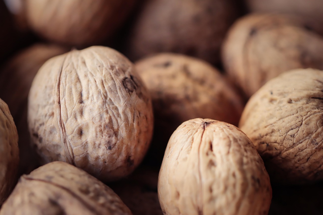 怎么查淘宝注册账号时间