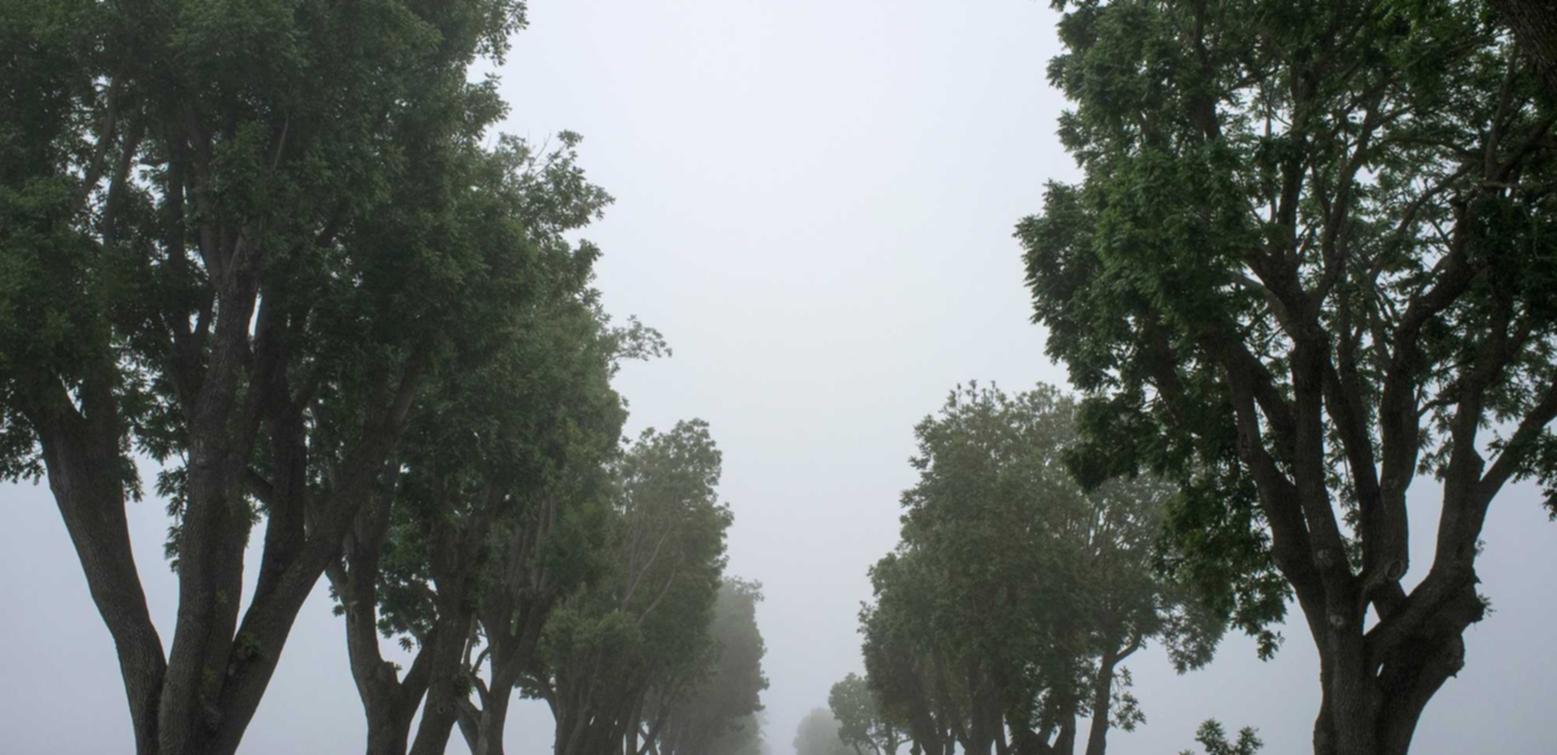 怎样享受戒烟后的自由、舒适和恢复？