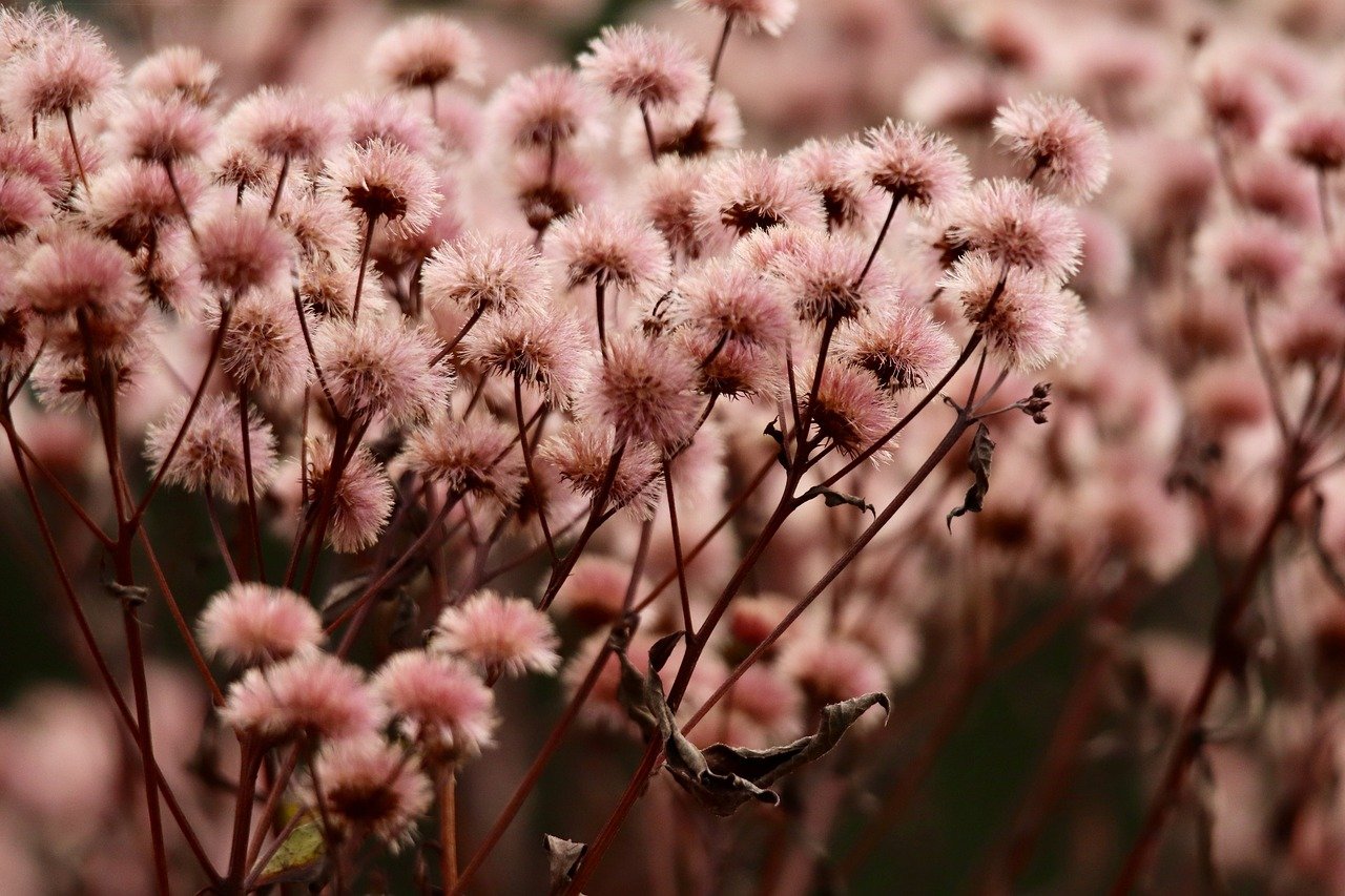 迷你世界无法注册新账号