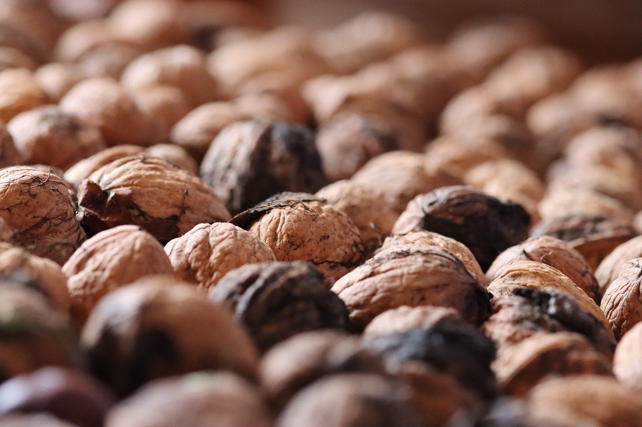 衢州物流代理有哪些平台