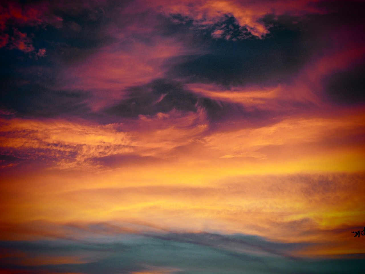 红船长:天津市武清区代理企业注册