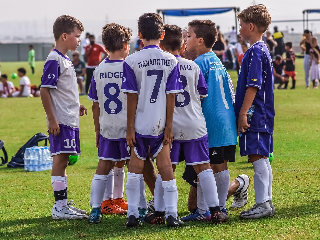 方盒欧盟七星蓝莓：洛阳注册代理公司