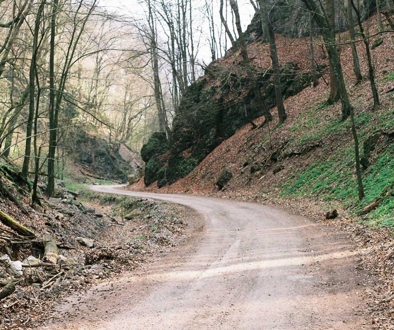 金洋2The Role of Customer Experience in Business Marketing